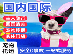 呼和浩特航空托运国际宠物托运 【国